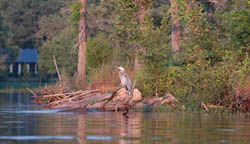 cedar creek lake 3